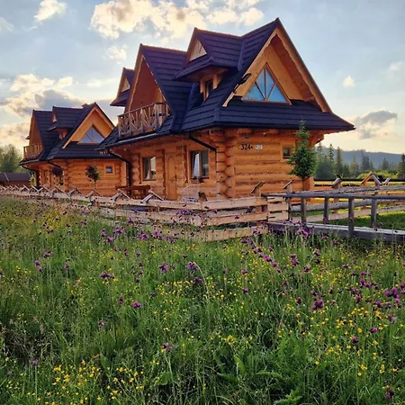 Goralskie Koscielisko Chalet *